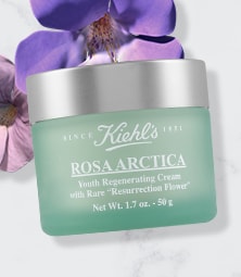 Rosa Arctica Cream